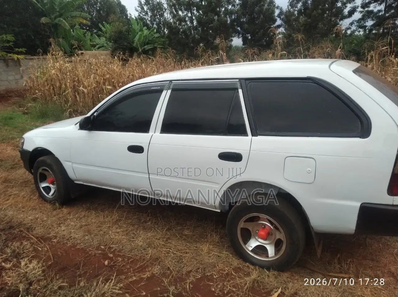 Toyota Corolla 2003 Pearl