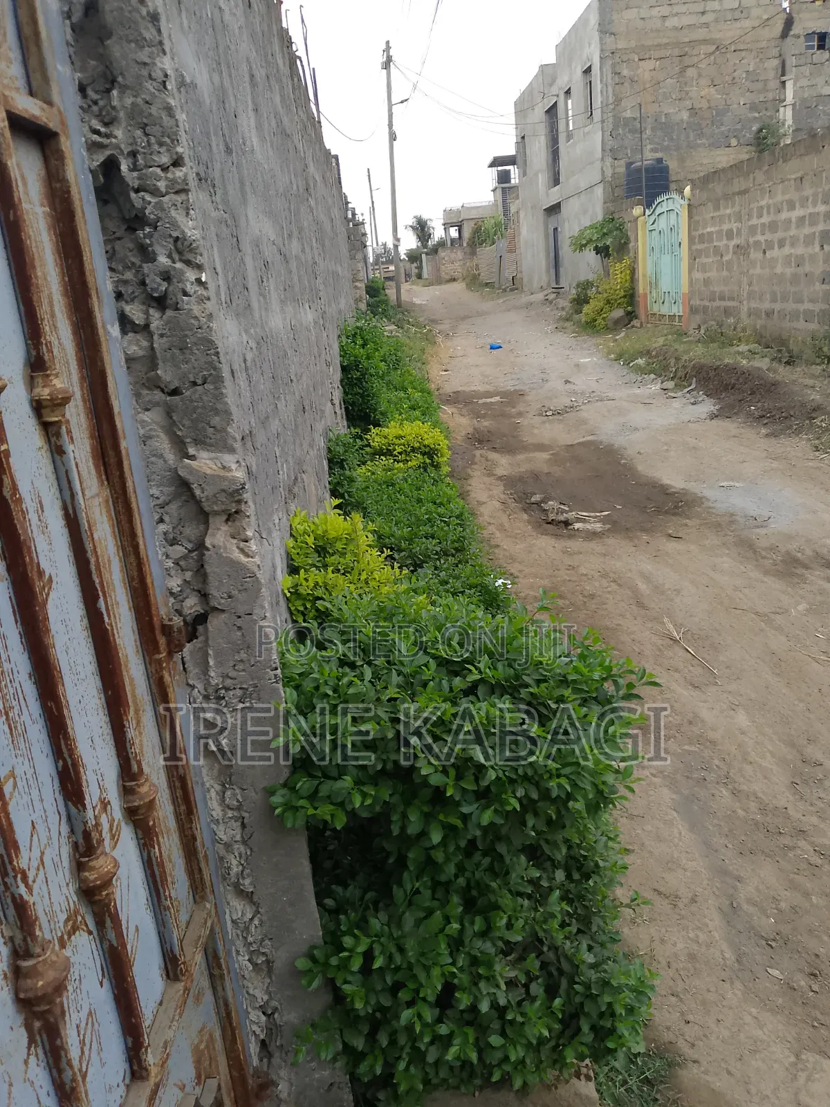 3bdrm Bungalow in Ruiru Kimbo Murera for sale