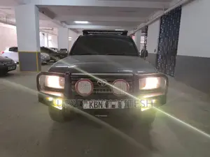 Toyota Land Cruiser 2003 Gray