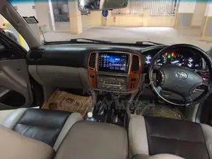 Toyota Land Cruiser 2003 Gray