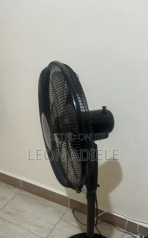 Standing Fan