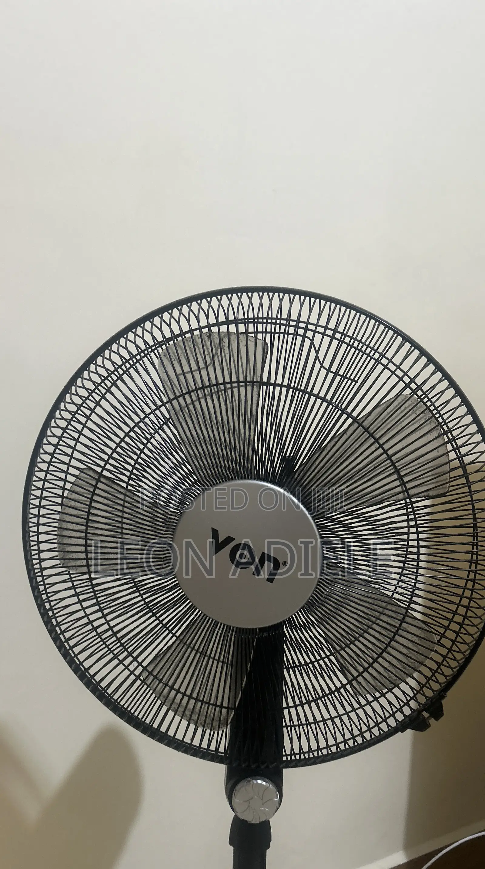 Standing Fan