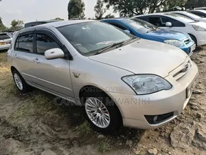 Toyota Corolla RunX 2006 Silver