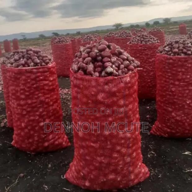 Red Bulb Onions Available From Tanzania - main view