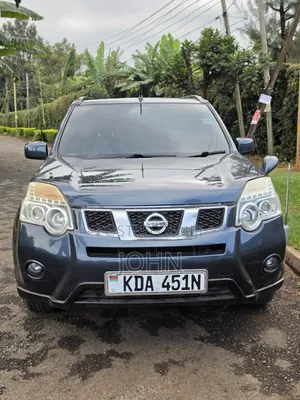 Nissan X-Trail 2.0 Petrol AWD 2013 Gray