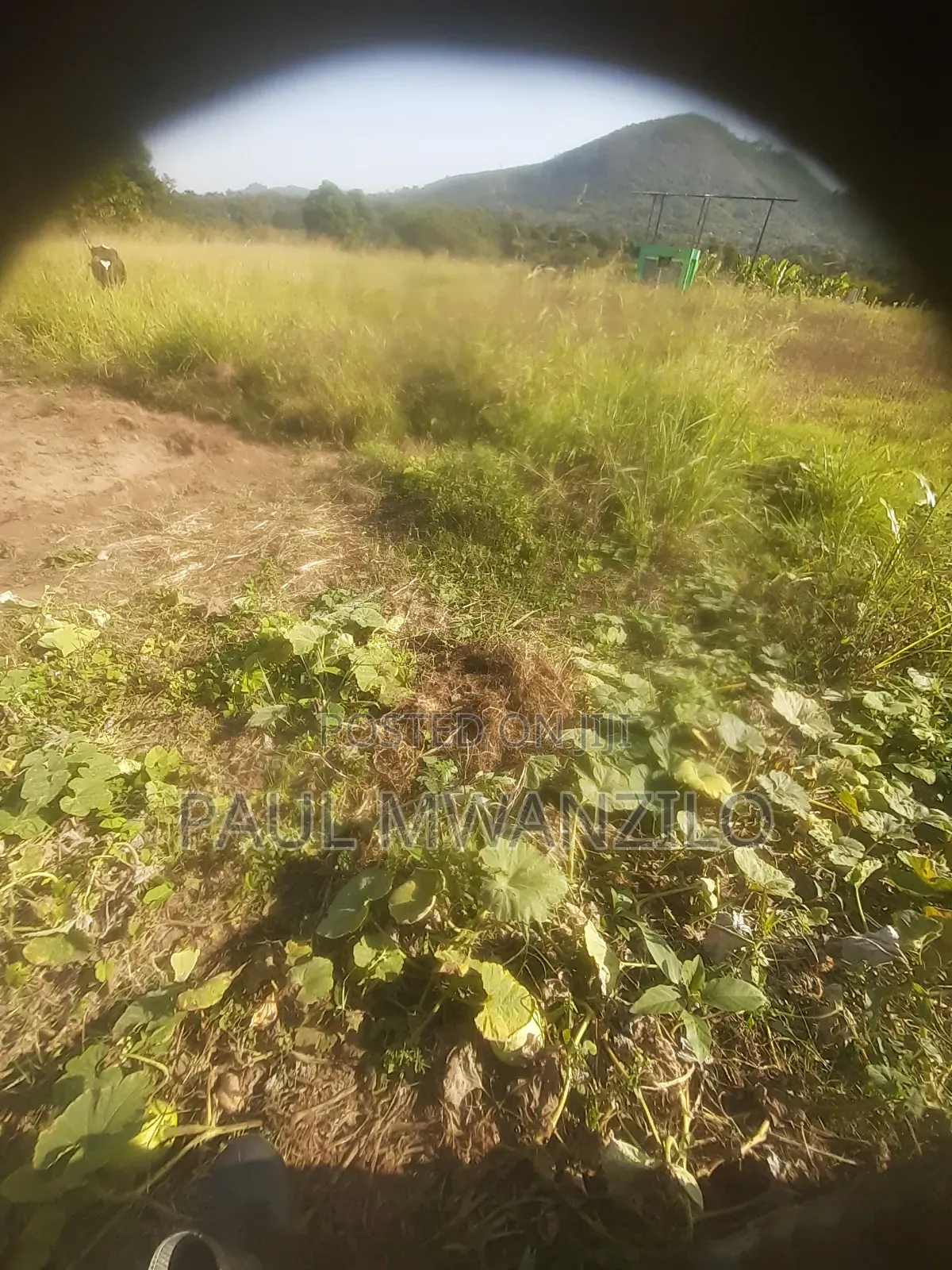 Ranching Land On Sale