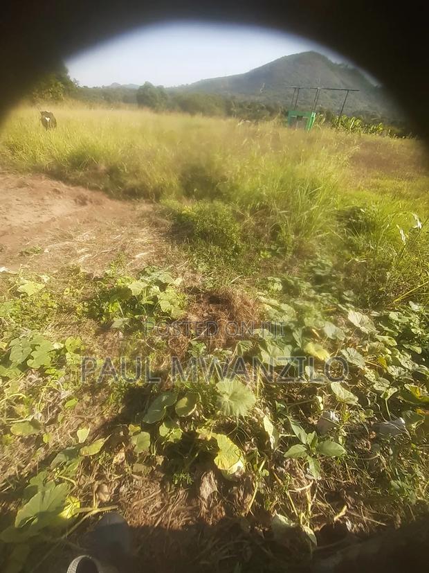 Ranching Land On Sale