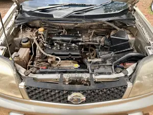 Nissan X-Trail 2.0 2006 Gold