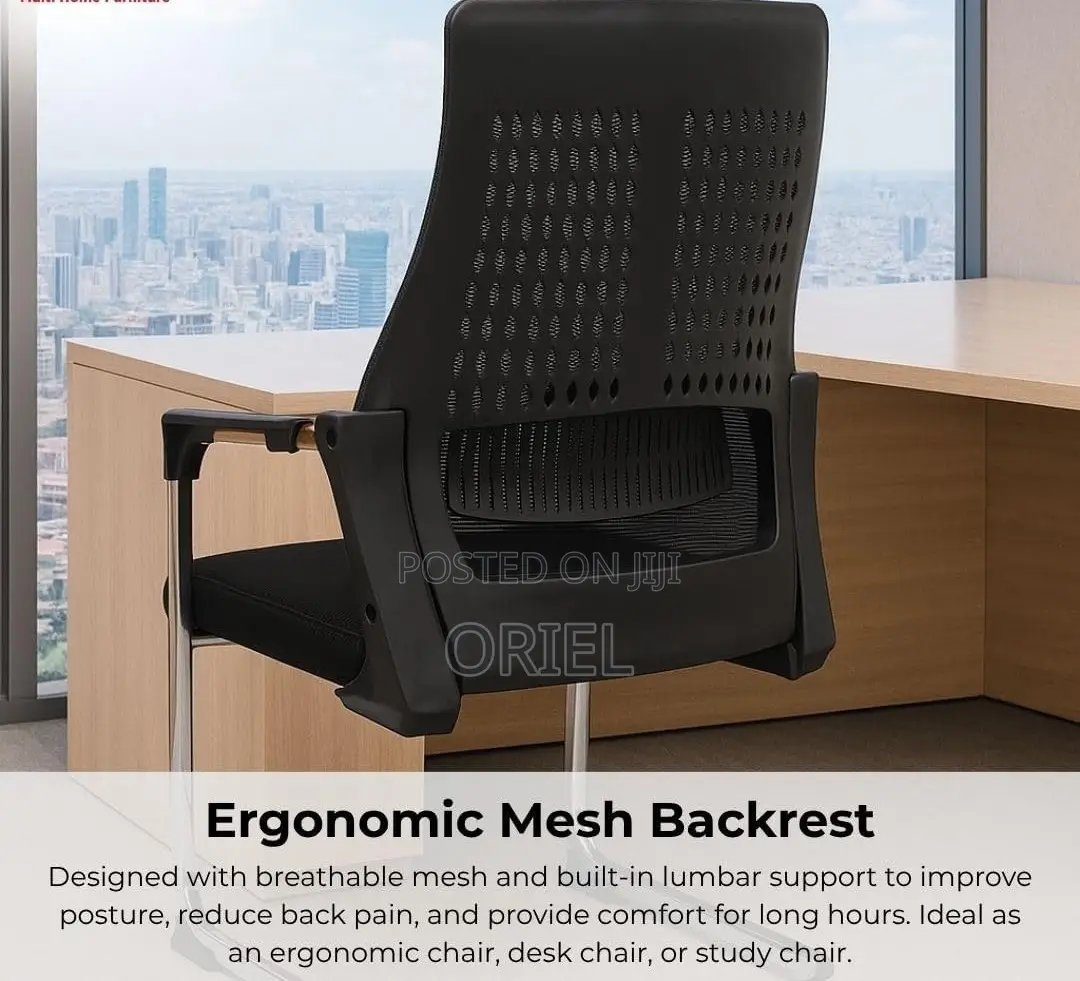 Office Chair : Mid-Back Sled Base Clerical Office Seat