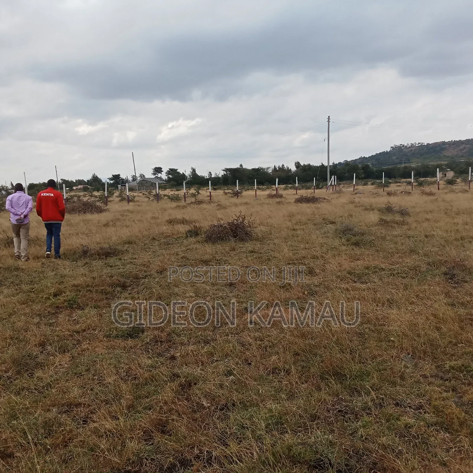 Koma Plots for Sale