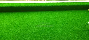 Premium Artificial Grass for Outdoor Decorative Flooring
