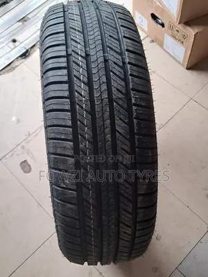 215/65r17 Doubleking