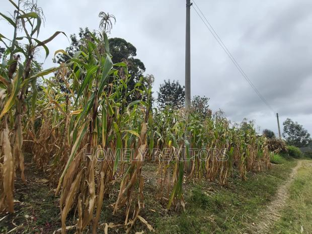 Residential Eighth Acre Plot for Sale in Ngong, Ol Keri Area - thumbnail 2