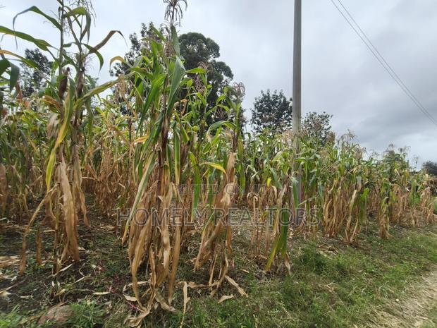 Residential Eighth Acre Plot for Sale in Ngong, Ol Keri Area - thumbnail 3