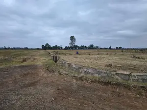 Serviced 1/4acre Plots Along Kenyatta Rd