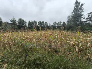 Quarter Acre Plot for Sale in Ngong, Ol Keri Near the Tarmac