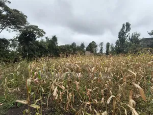 Quarter Acre Plot for Sale in Ngong, Ol Keri Near the Tarmac