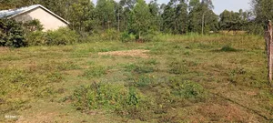 Plot for Sale