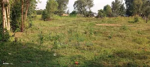 Plot for Sale