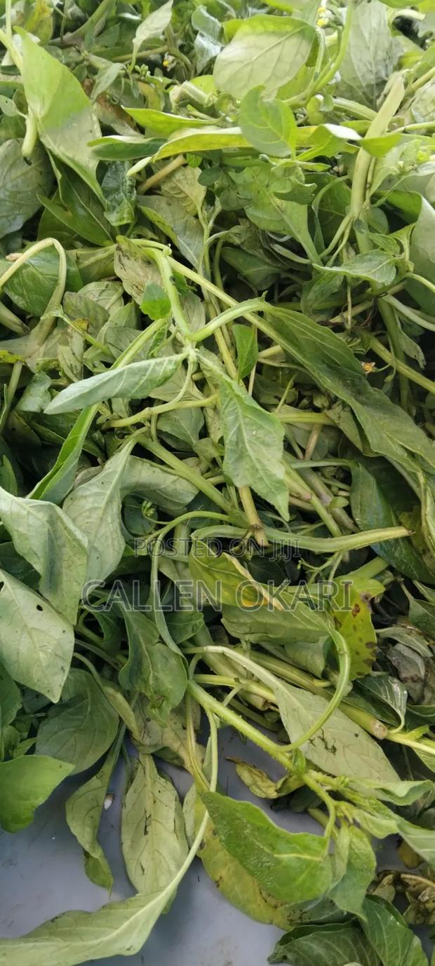 Fresh Farm Kienyeji