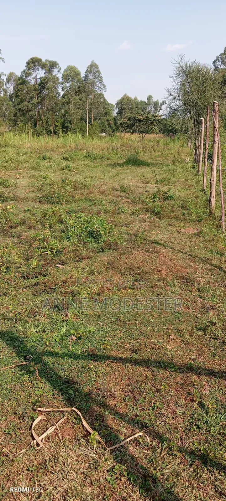 Plot for Sale
