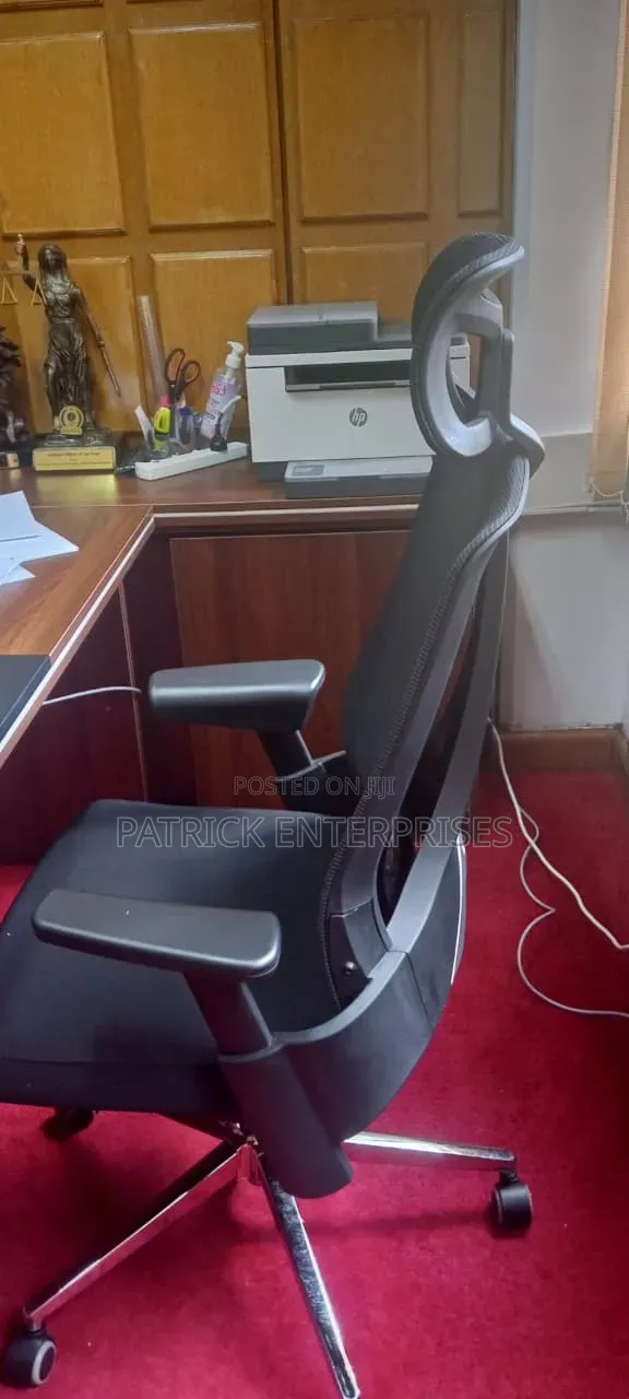Imported Modern Ergonomic Orthopedic Office Chair