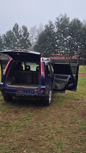 Nissan X-Trail 2005 Blue