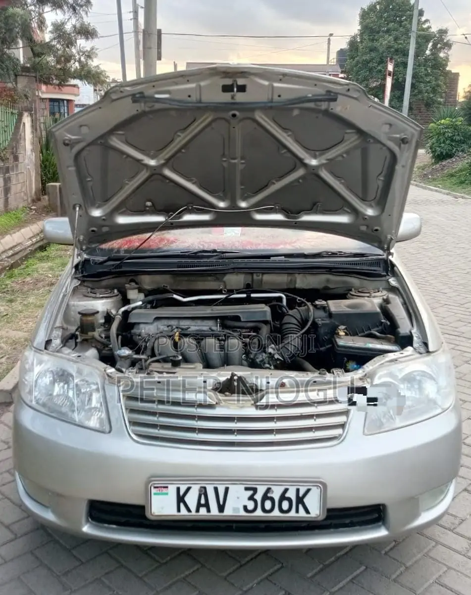 Toyota Corolla 2002 Gray