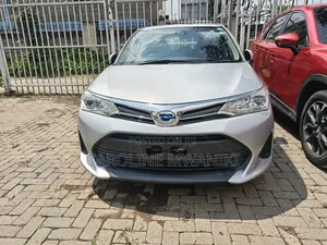 Toyota Corolla Fielder 2019 Silver