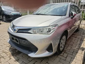 Toyota Corolla Fielder 2019 Silver