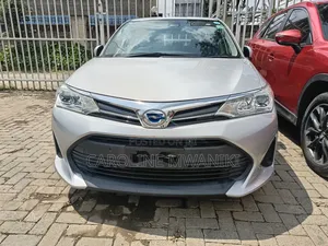 Toyota Corolla Fielder 2019 Silver