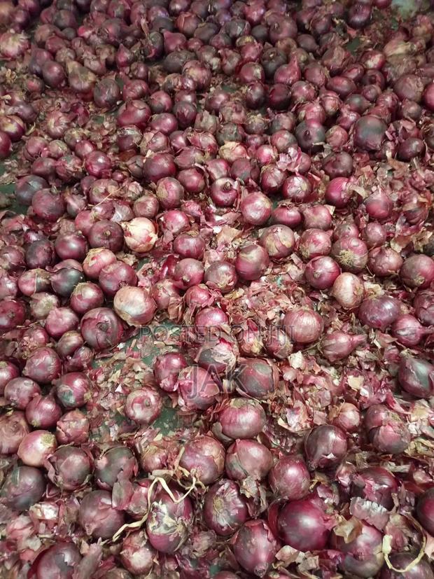 I Sell Fresh Farm Onions - thumbnail 2