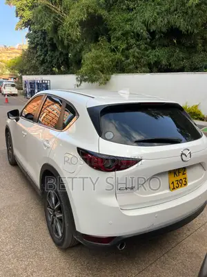 Cx5 Diesel Engine
