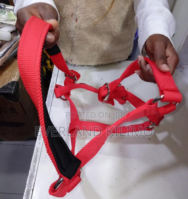 Adjustable Livestock Halter