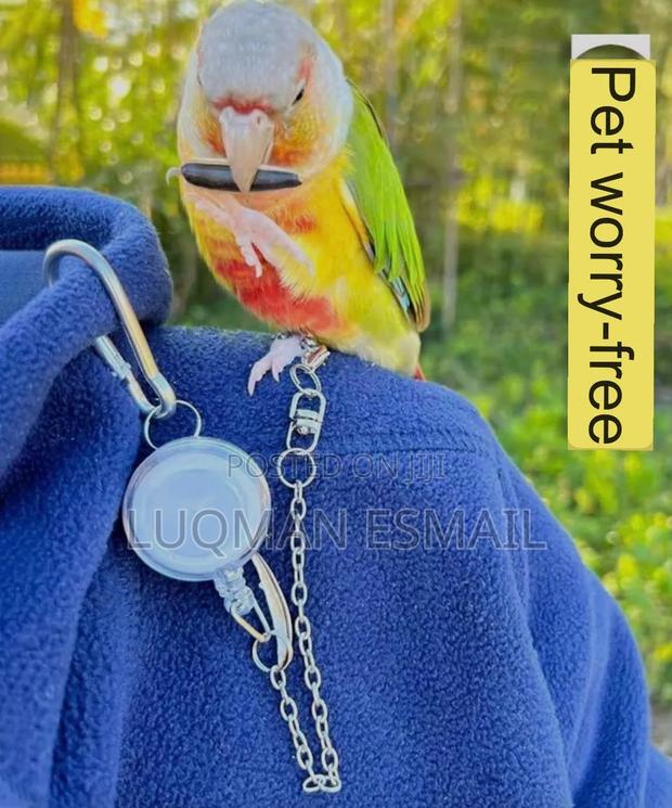 Parrot Handle - main view