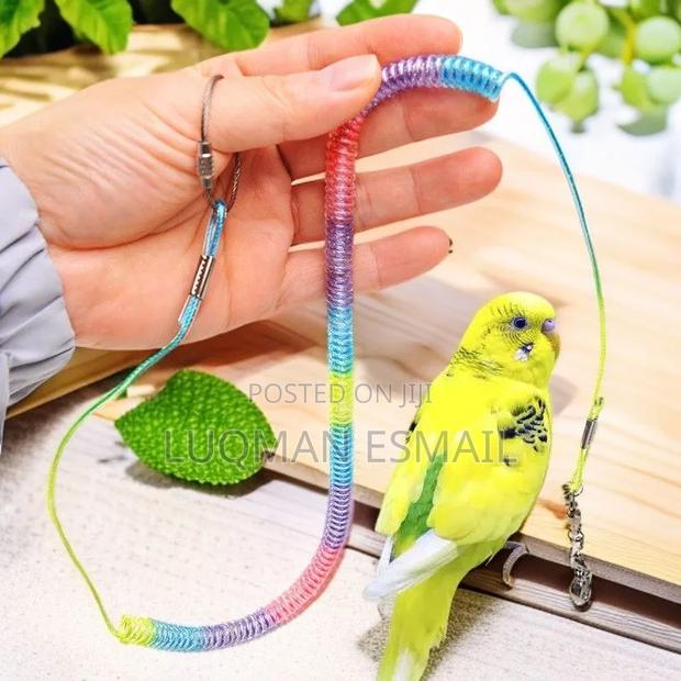 Parrot Handle - thumbnail 2