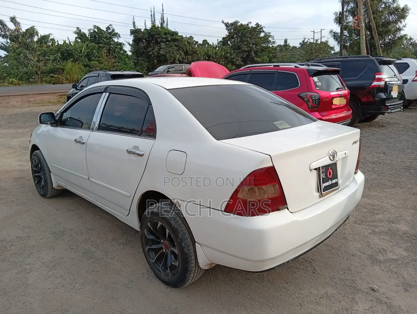 Toyota Corolla 2001 White