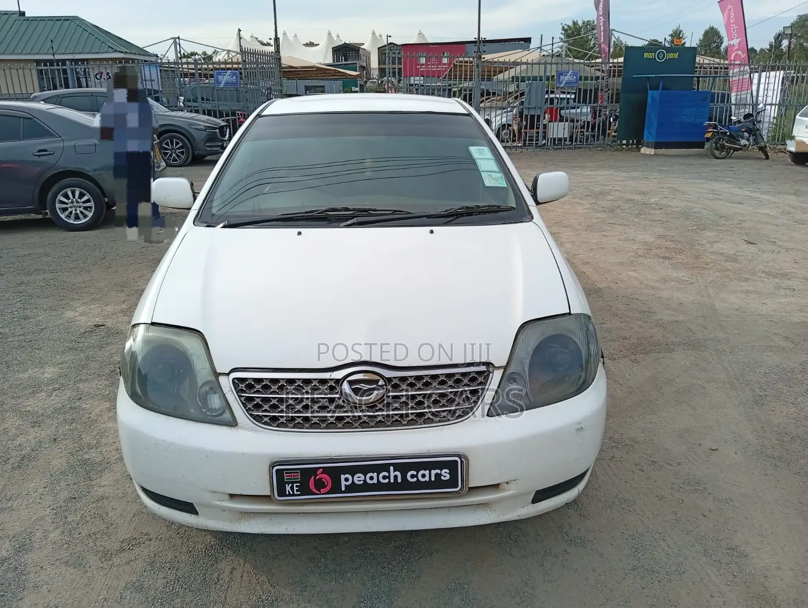 Toyota Corolla 2001 White
