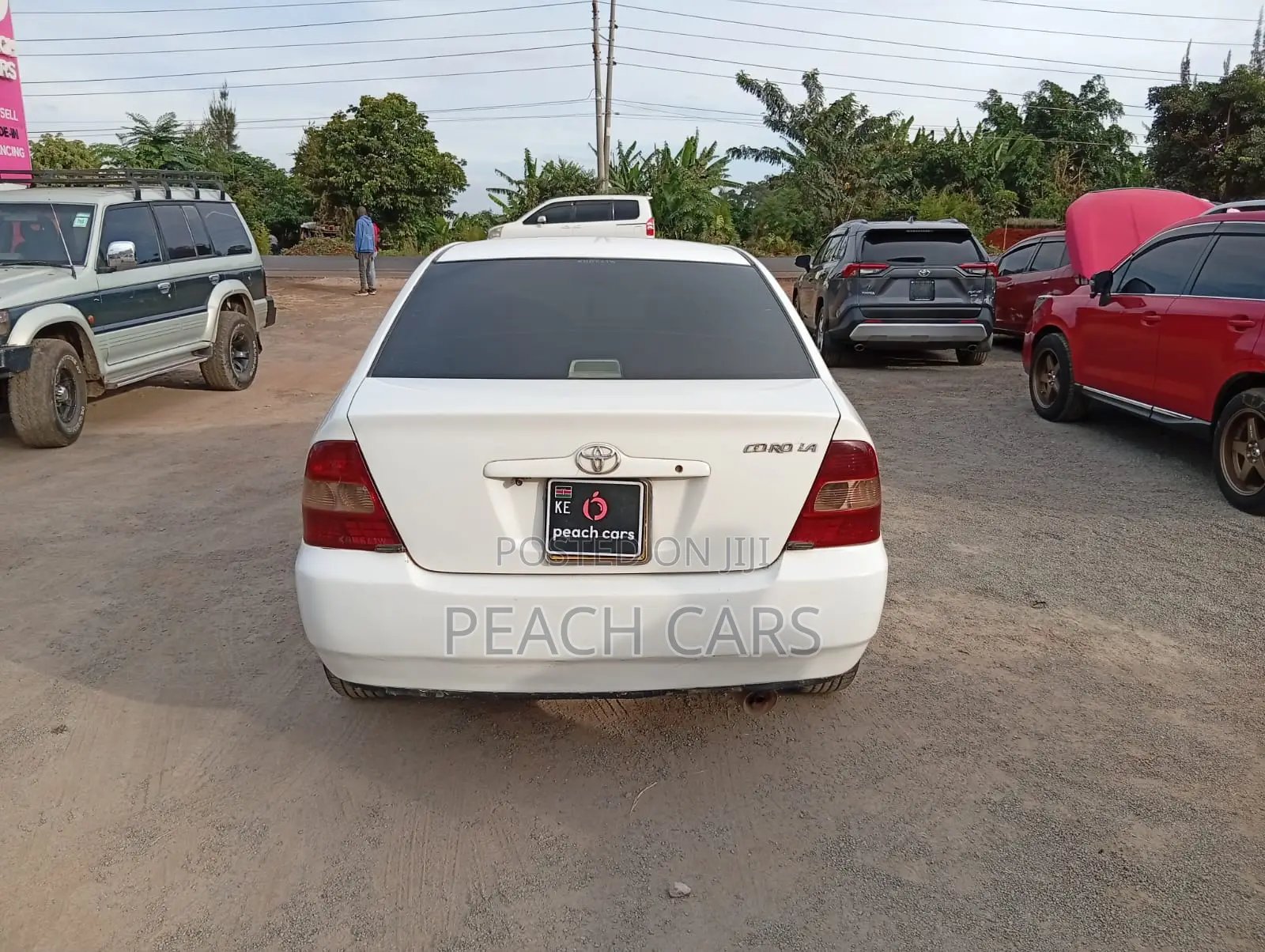 Toyota Corolla 2001 White