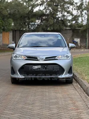 Toyota Corolla Fielder 2019 Silver