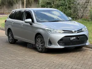 Toyota Corolla Fielder 2019 Silver
