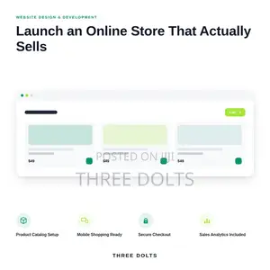 Custom E-Commerce Website Development