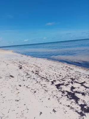 100 by 50 Beach Plot for Sale in Malindi