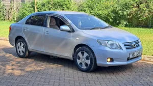 Toyota Axio 2006 Silver