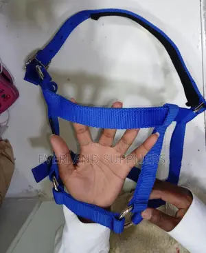 Cattle Halter