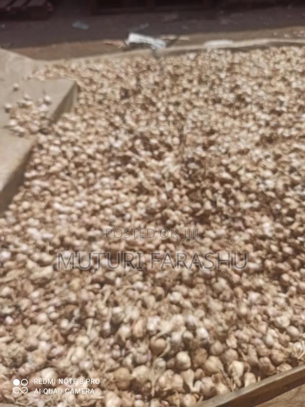 Tush Garlic (Saumu) Mbegu Moja - thumbnail 2