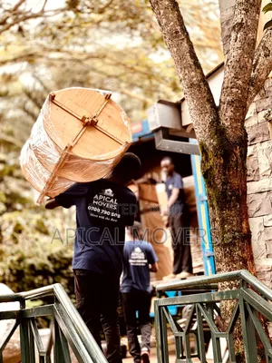 House Moving Experts Near You!