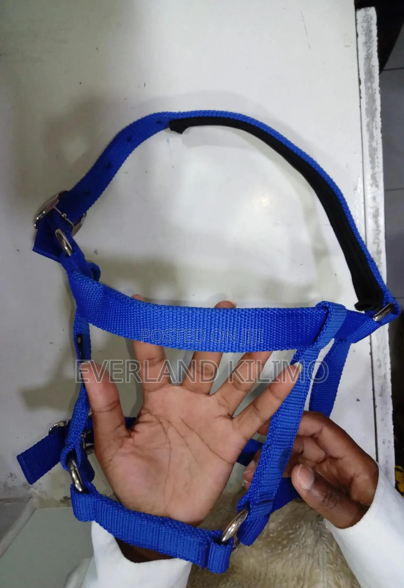 Halter For Cows, Cattles, Horse, Donkey