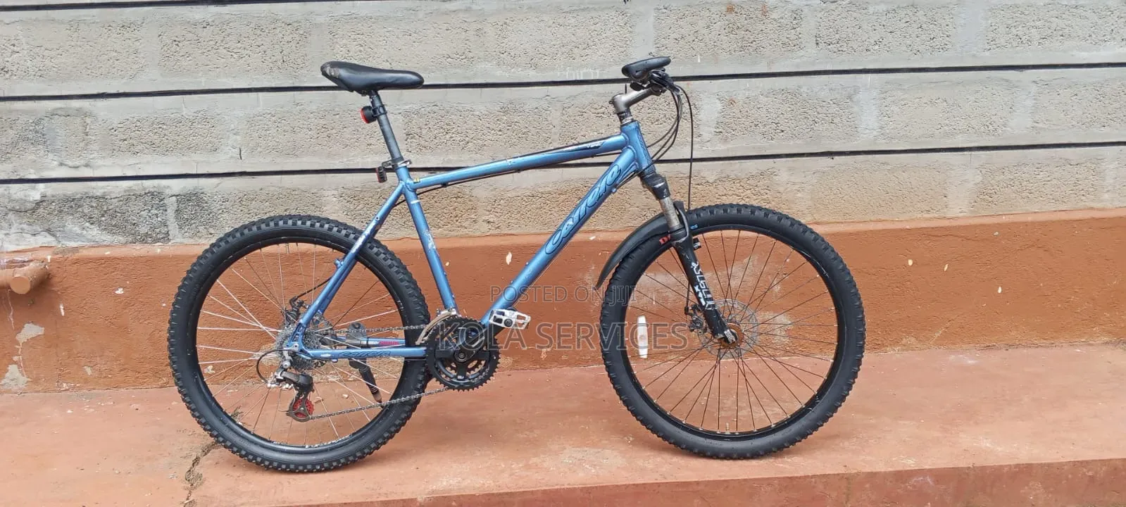 Carrera (Mtb)