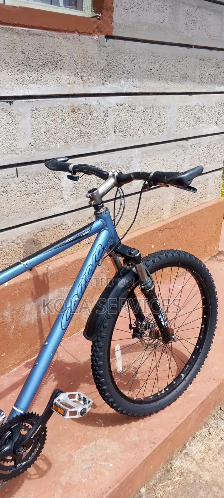 Carrera (Mtb)